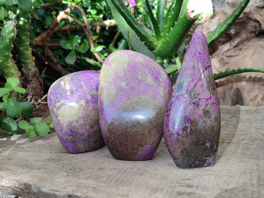 Polished Stichtite Standing Free Forms x 3 From Barberton, South Africa - Toprock Gemstones and Minerals 