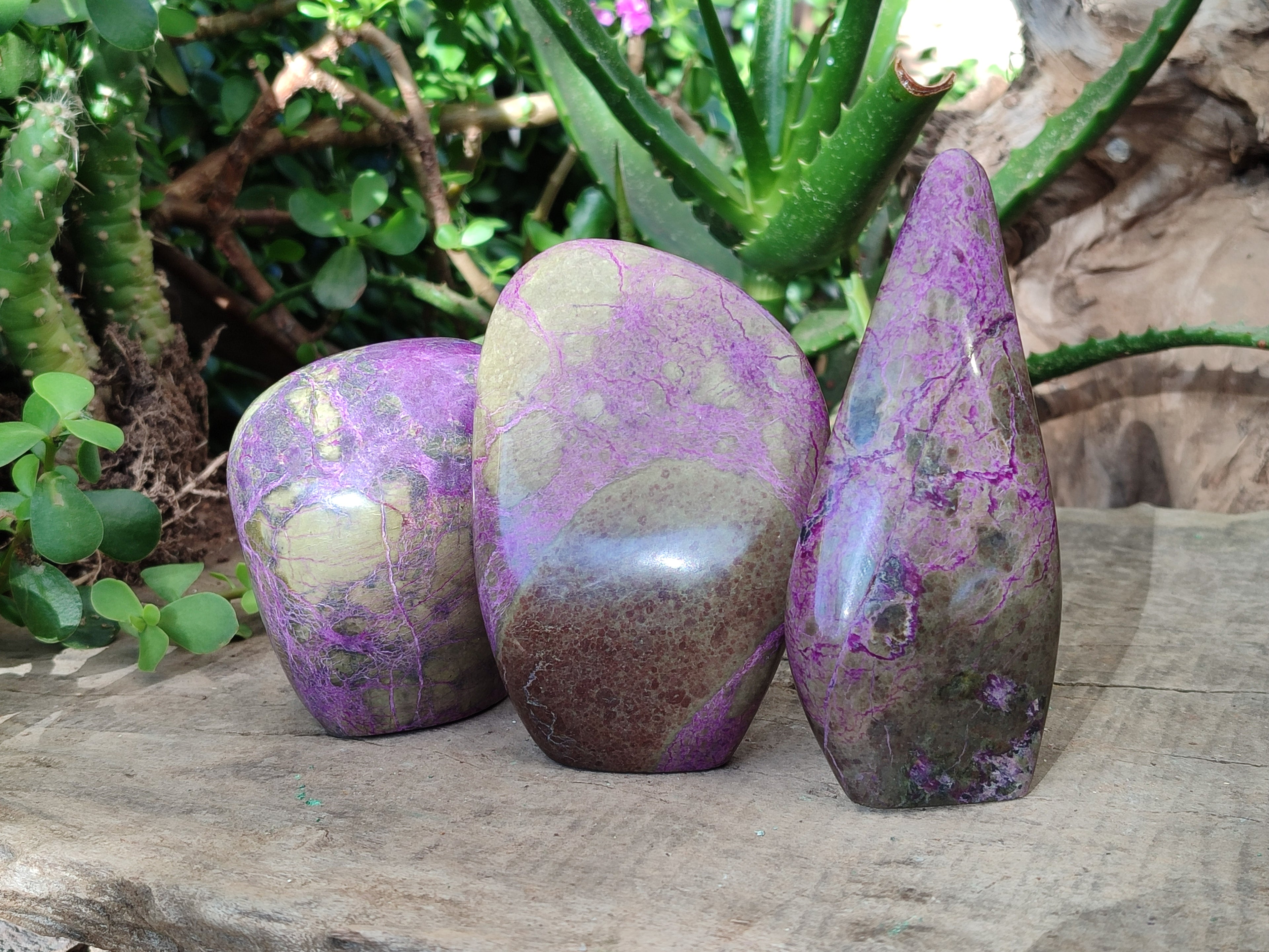 Polished Stichtite Standing Free Forms x 3 From Barberton, South Africa - Toprock Gemstones and Minerals 