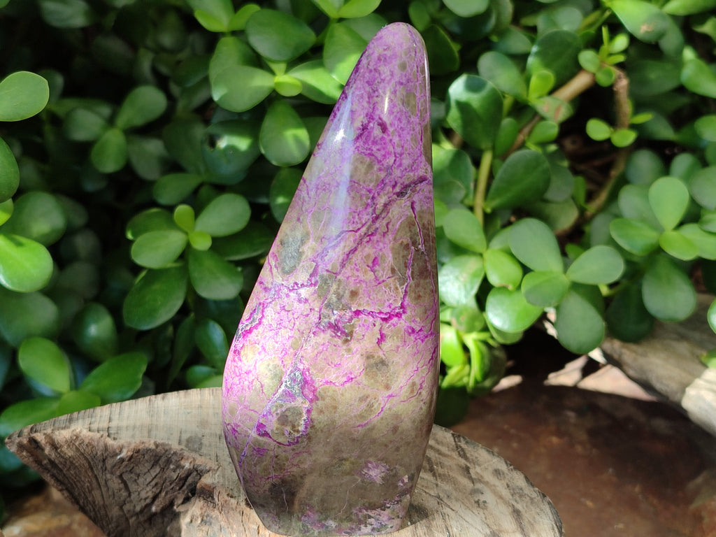 Polished Stichtite Standing Free Forms x 3 From Barberton, South Africa - Toprock Gemstones and Minerals 