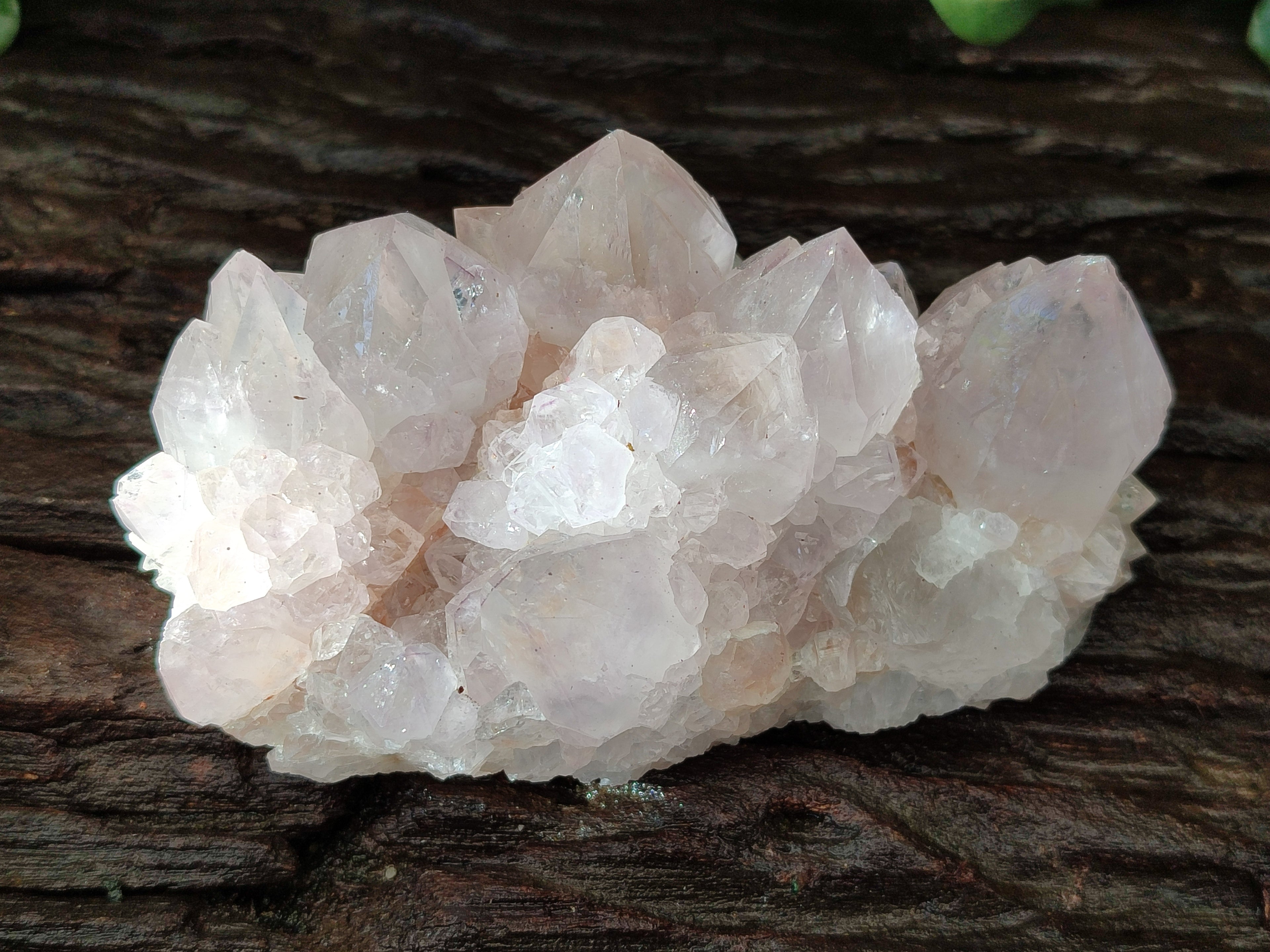 Natural Cactus Spirit Quartz Clusters x 4 From Boekenhouthoek, South Africa - Toprock Gemstones and Minerals 