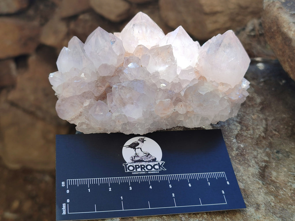 Natural Cactus Spirit Quartz Clusters x 4 From Boekenhouthoek, South Africa - Toprock Gemstones and Minerals 