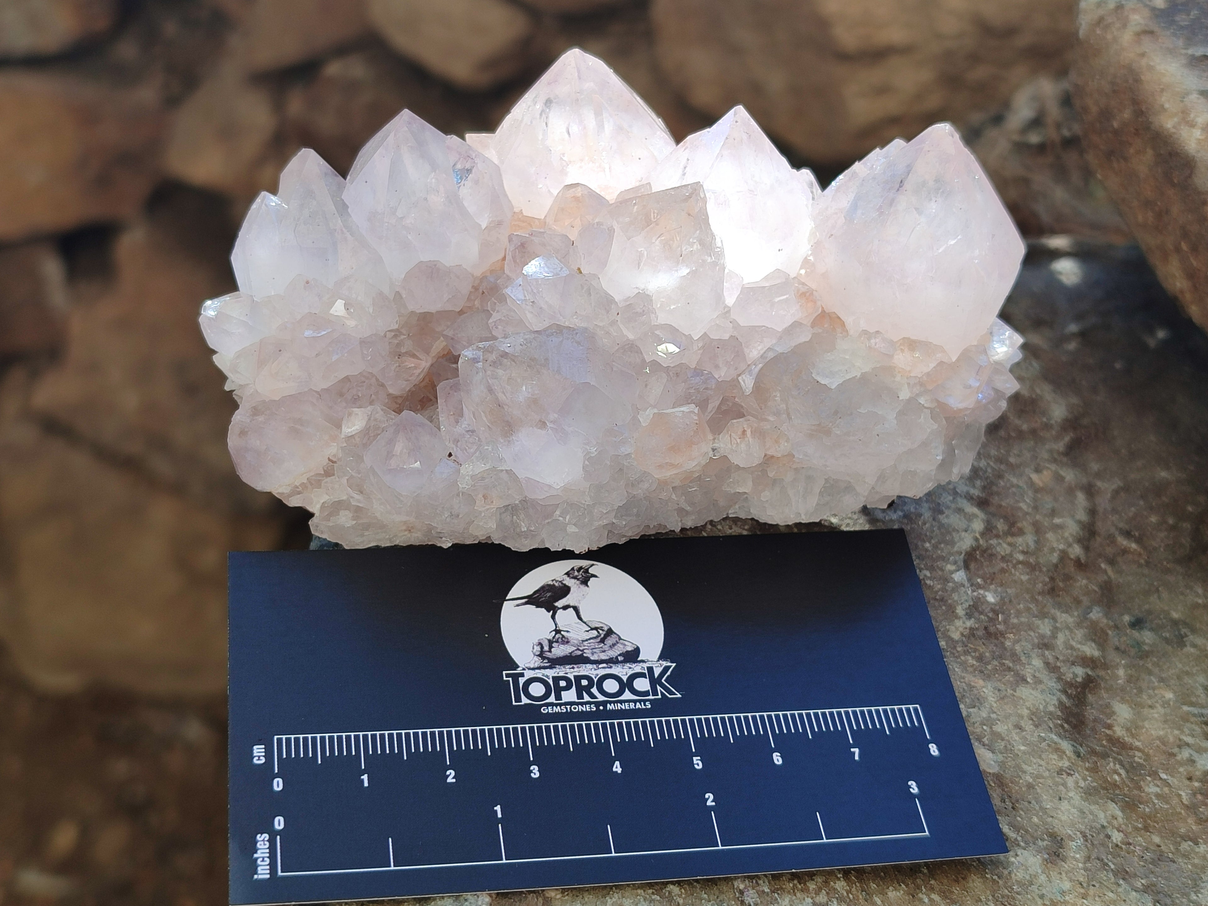 Natural Cactus Spirit Quartz Clusters x 4 From Boekenhouthoek, South Africa - Toprock Gemstones and Minerals 