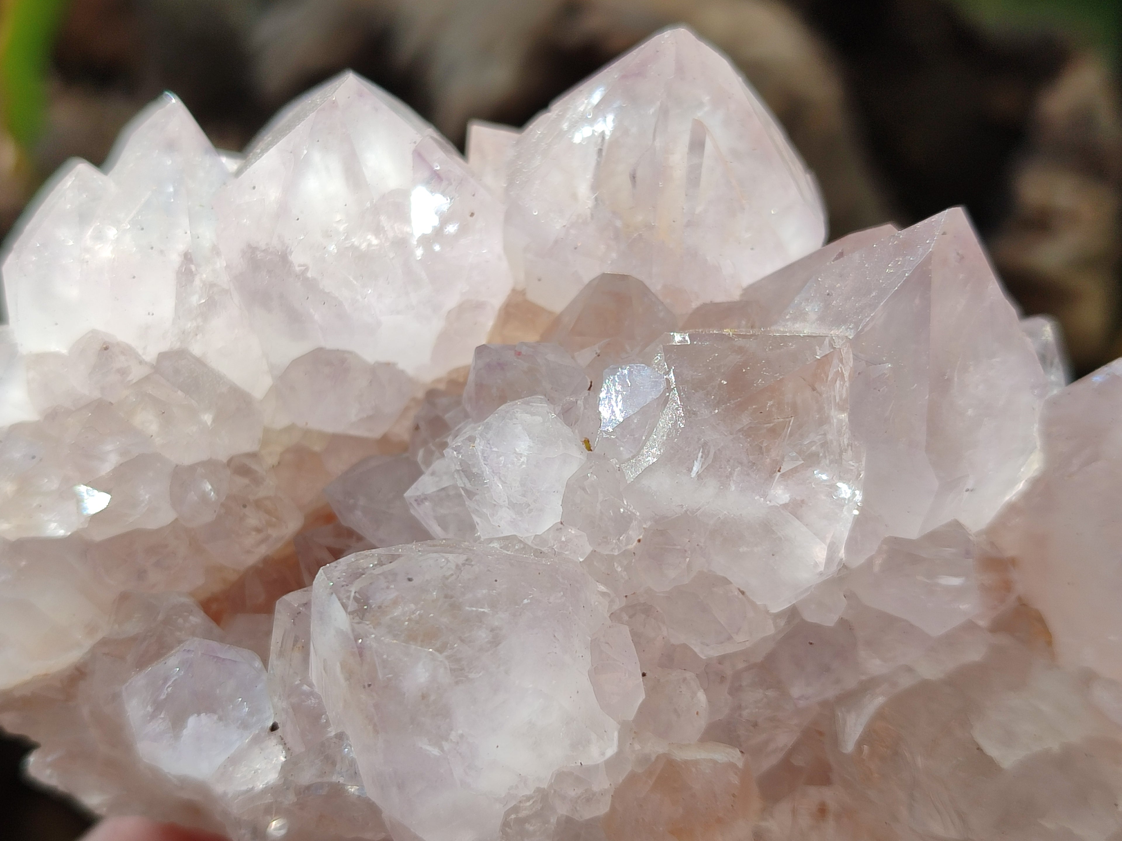 Natural Cactus Spirit Quartz Clusters x 4 From Boekenhouthoek, South Africa - Toprock Gemstones and Minerals 