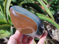 Polished Polychrome Jasper Standing Free Forms x 4 From Mahajanga, Madagascar - Toprock Gemstones and Minerals 