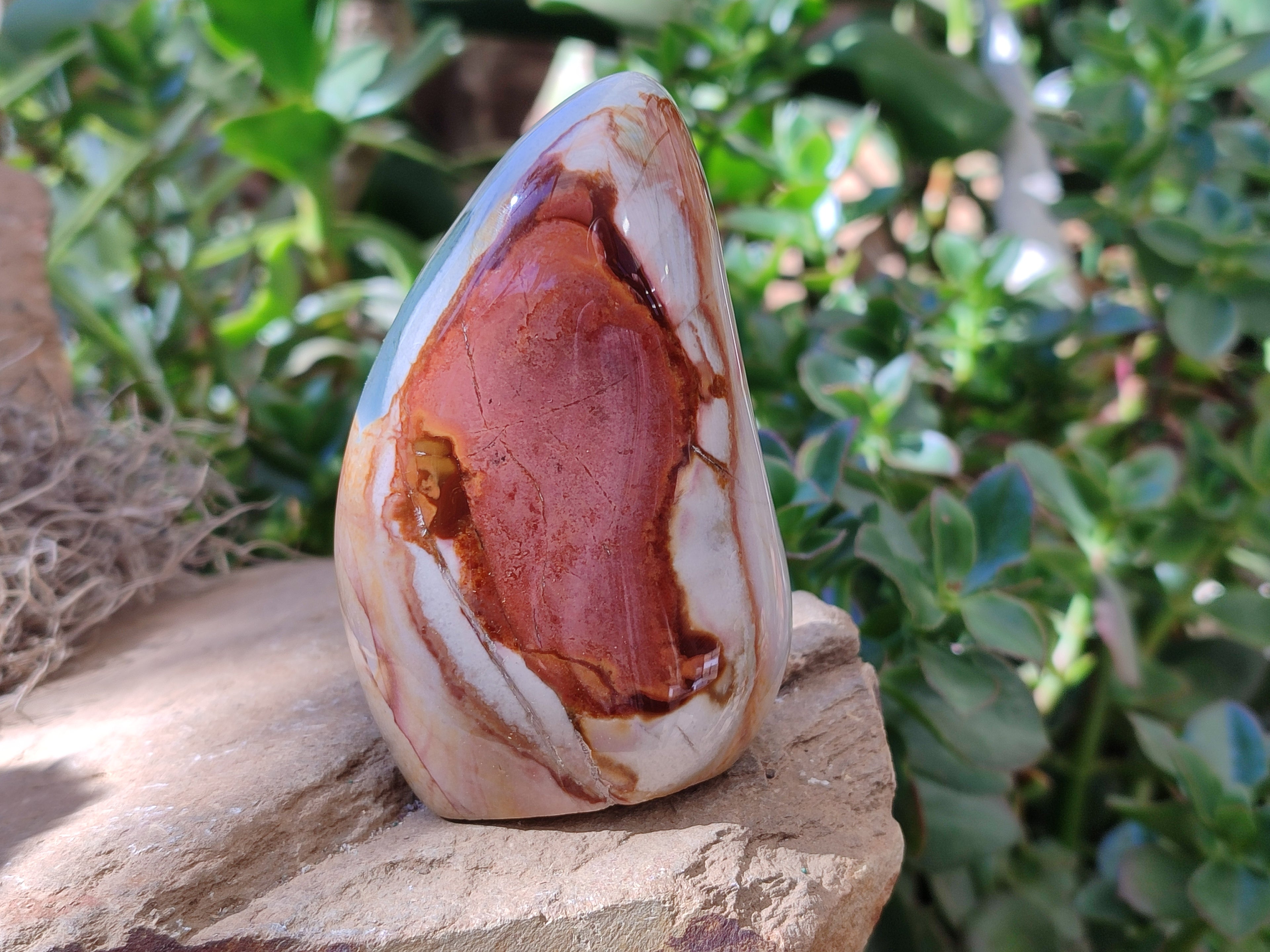 Polished Polychrome Jasper Standing Free Forms x 4 From Mahajanga, Madagascar - Toprock Gemstones and Minerals 