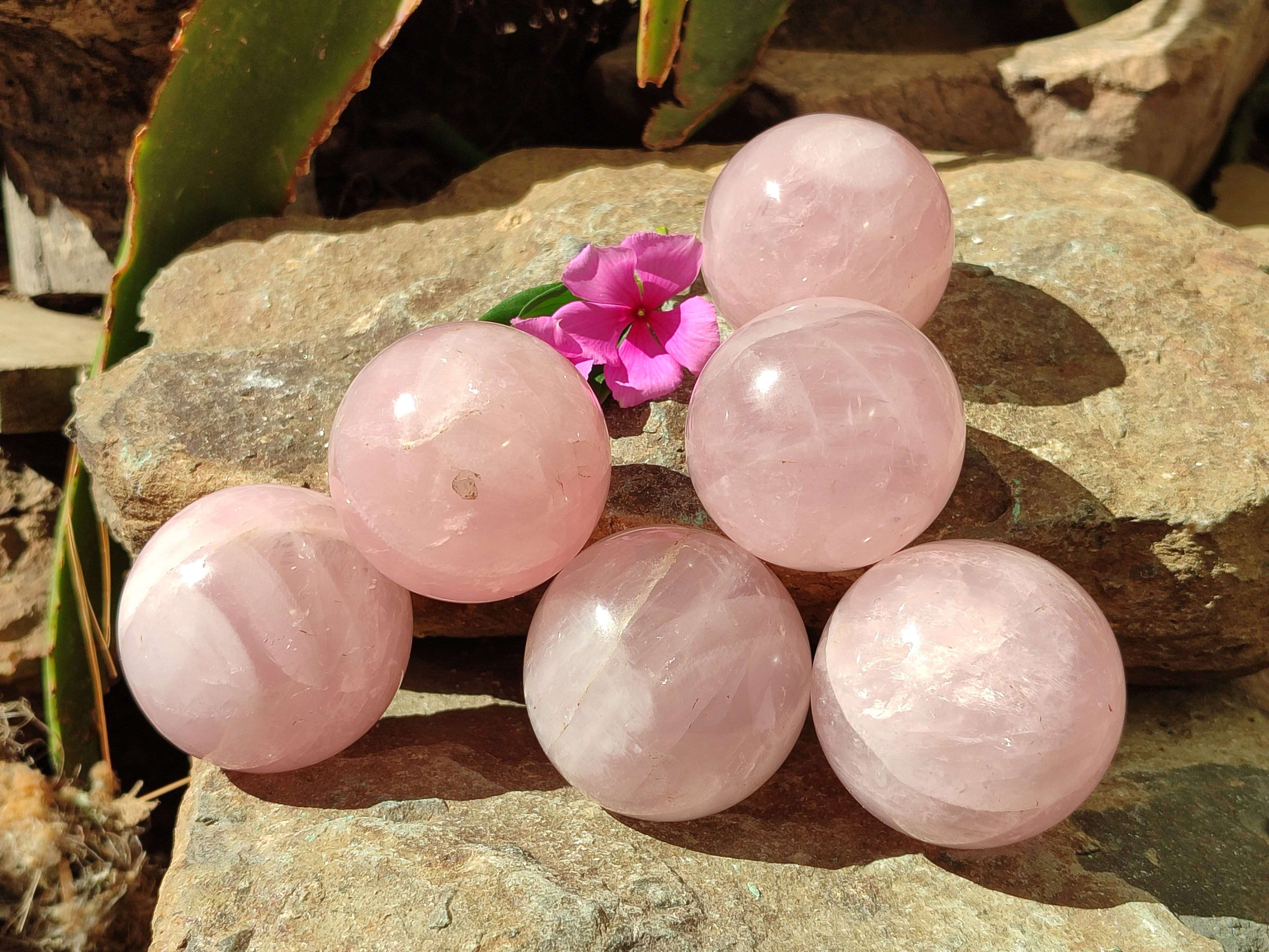 Polished Rose Quartz Spheres x 6 From Ambatondrazaka, Madagascar - Toprock Gemstones and Minerals 