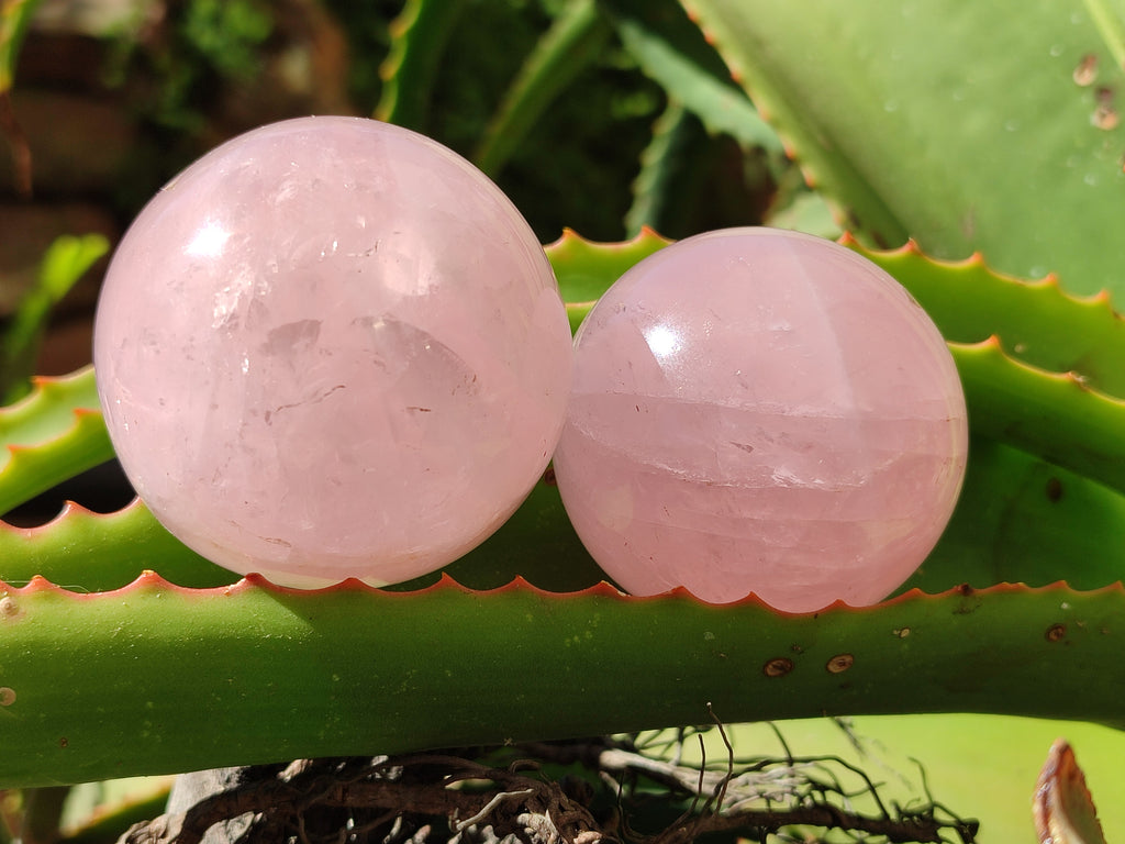 Polished Rose Quartz Spheres x 6 From Ambatondrazaka, Madagascar - Toprock Gemstones and Minerals 
