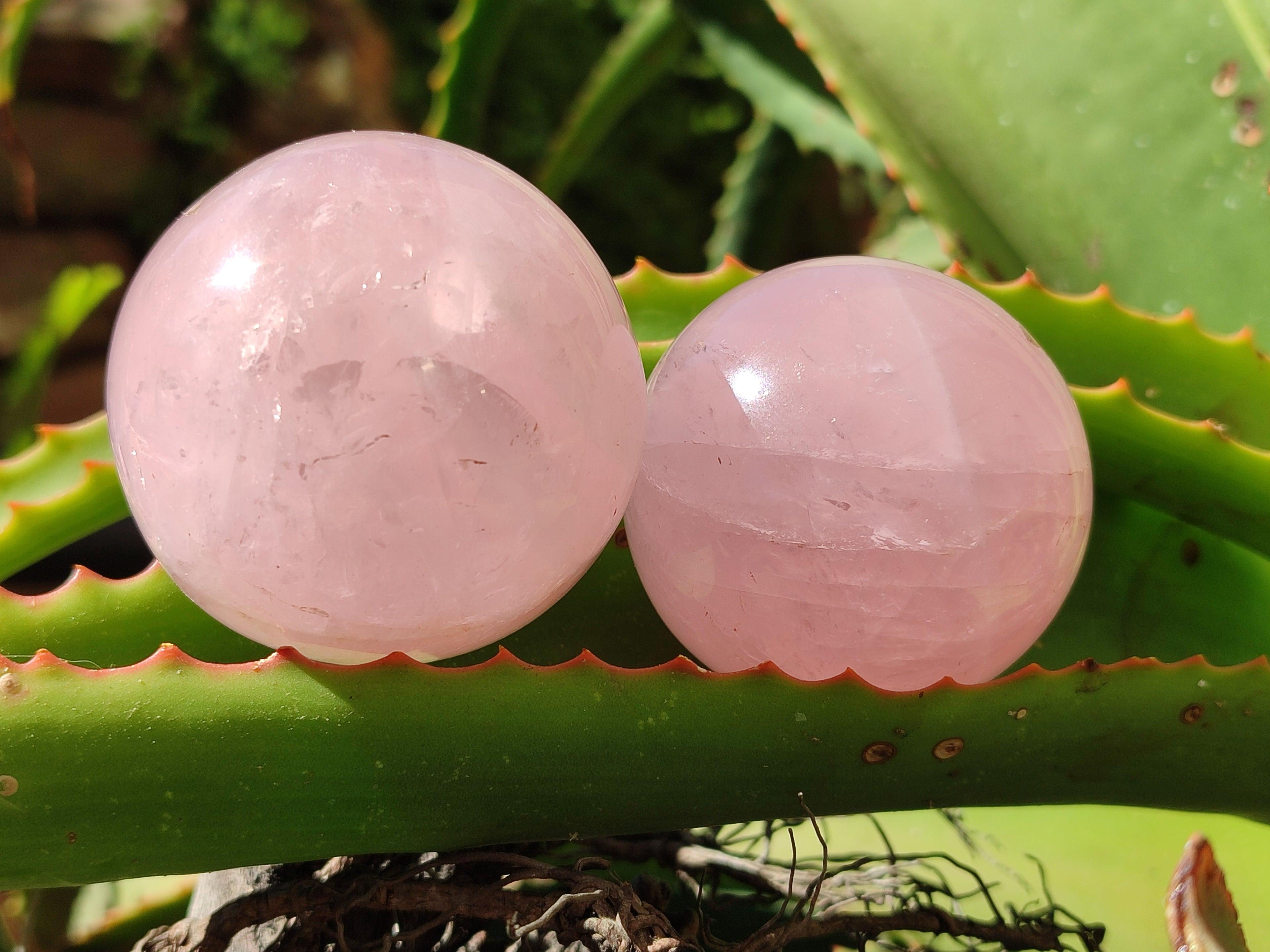 Polished Rose Quartz Spheres x 6 From Ambatondrazaka, Madagascar - Toprock Gemstones and Minerals 