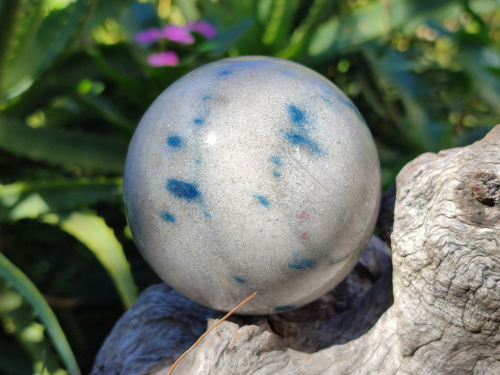 Polished Blue Spinel Spotted Quartz Spheres x 4 From Madagascar - Toprock Gemstones and Minerals 