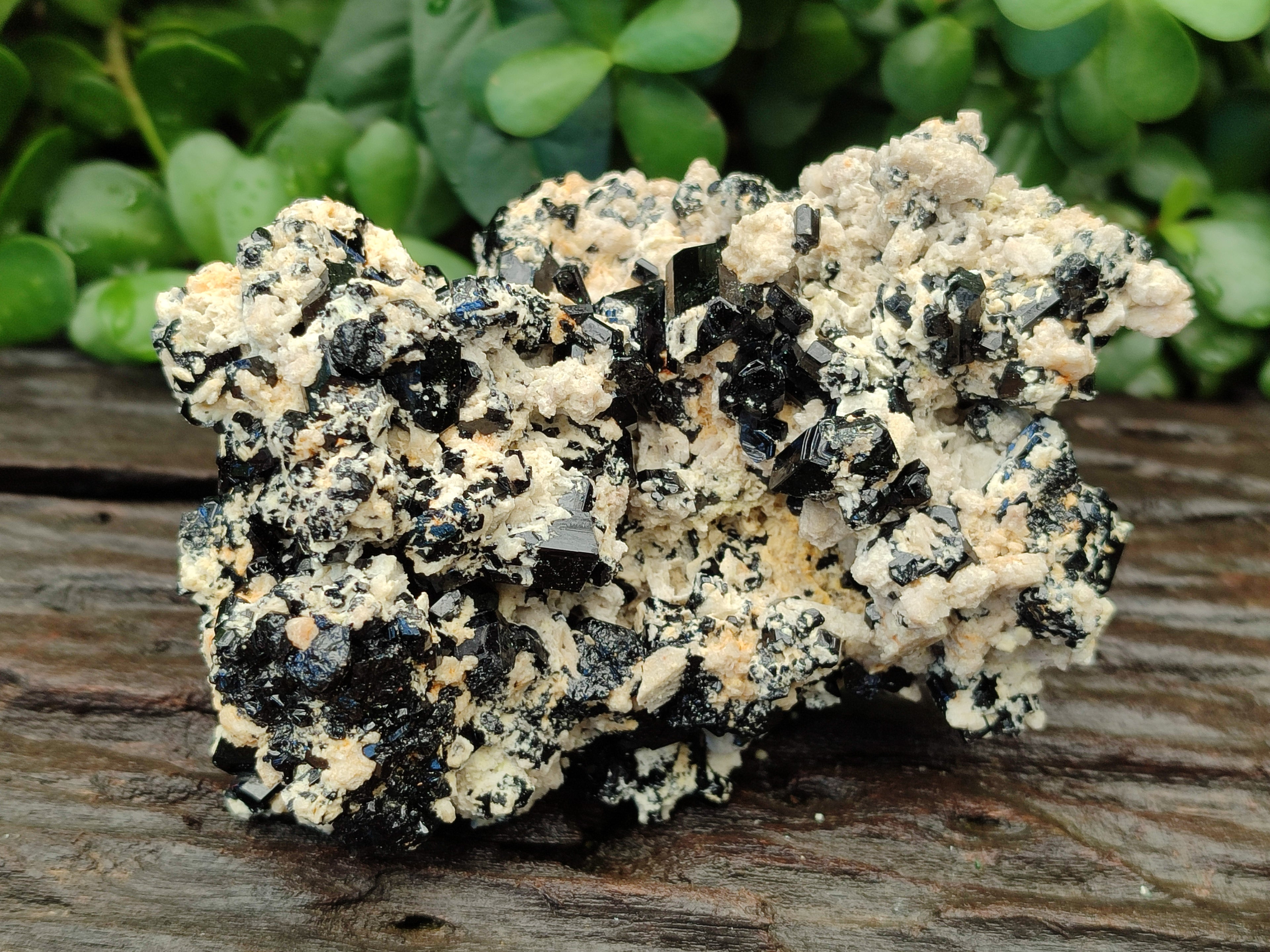 Natural Schorl Black Tourmaline Specimens x 2 From Erongo, Namibia - Toprock Gemstones and Minerals 