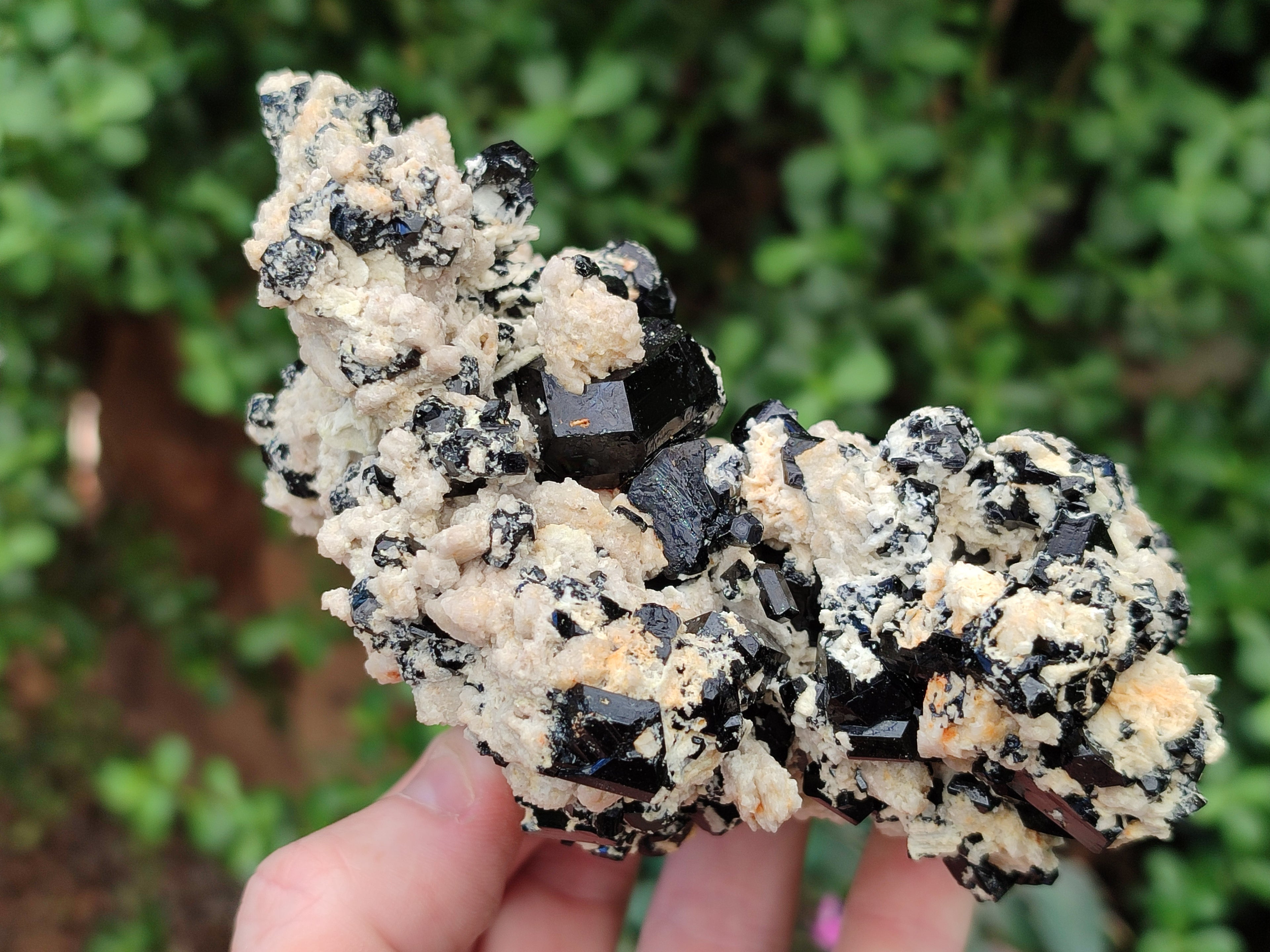 Natural Schorl Black Tourmaline Specimens x 2 From Erongo, Namibia - Toprock Gemstones and Minerals 