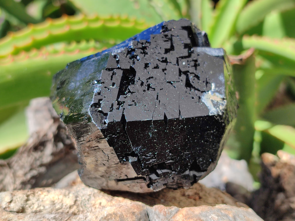 Natural Schorl Black Tourmaline Specimens x 2 From Erongo, Namibia - Toprock Gemstones and Minerals 