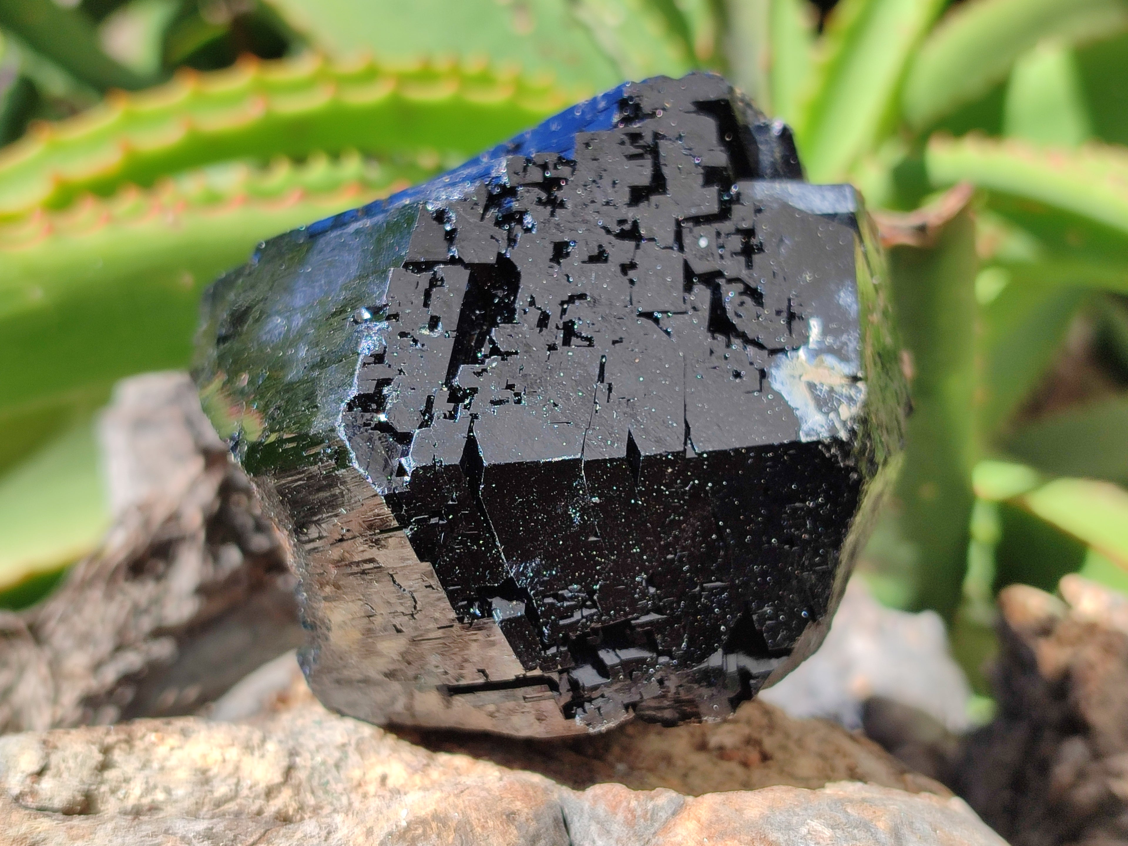 Natural Schorl Black Tourmaline Specimens x 2 From Erongo, Namibia - Toprock Gemstones and Minerals 