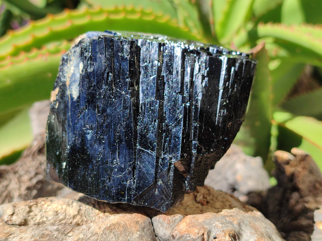 Natural Schorl Black Tourmaline Specimens x 2 From Erongo, Namibia - Toprock Gemstones and Minerals 