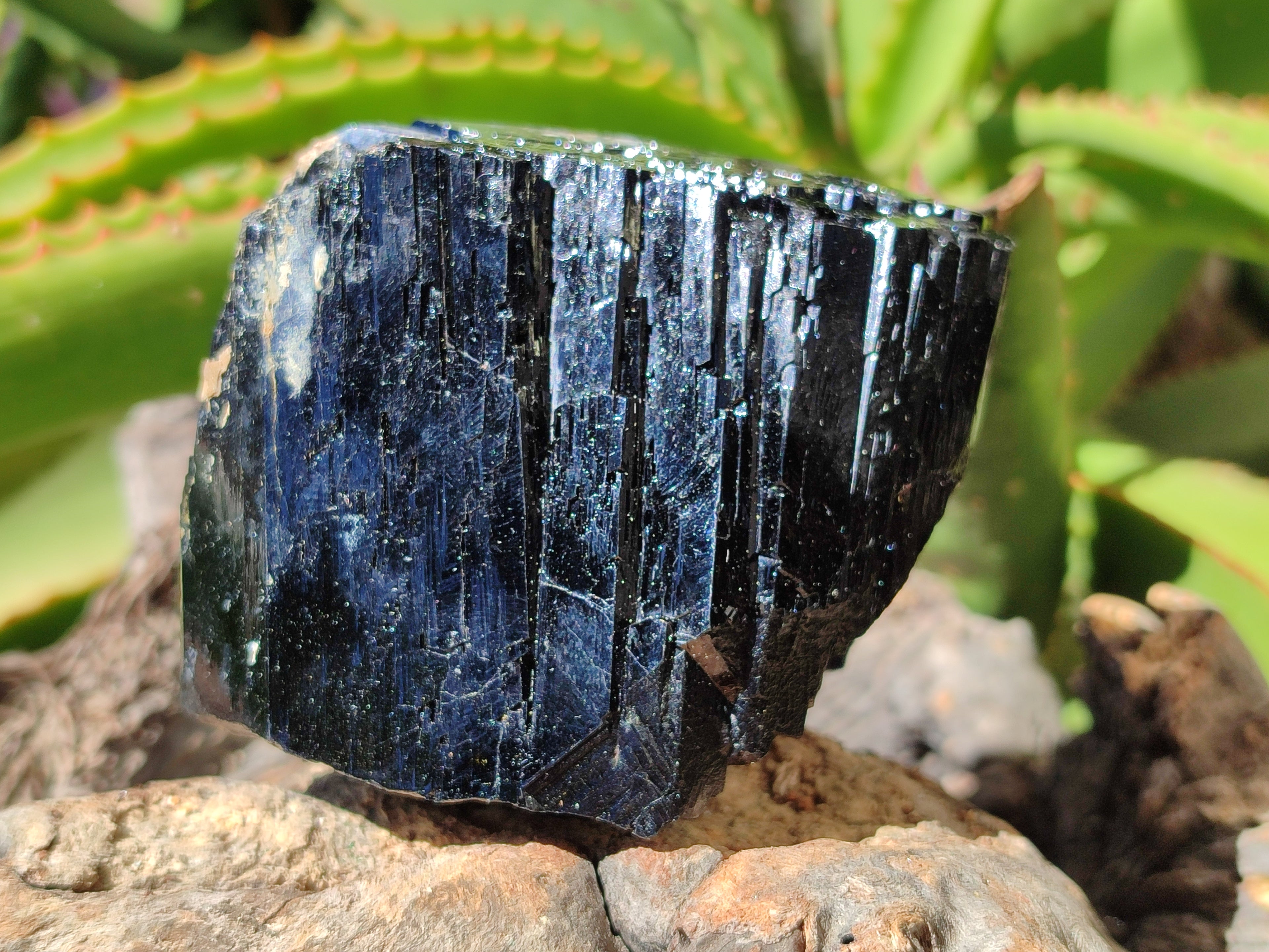 Natural Schorl Black Tourmaline Specimens x 2 From Erongo, Namibia - Toprock Gemstones and Minerals 