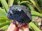 Natural Schorl Black Tourmaline Specimens x 2 From Erongo, Namibia - Toprock Gemstones and Minerals 