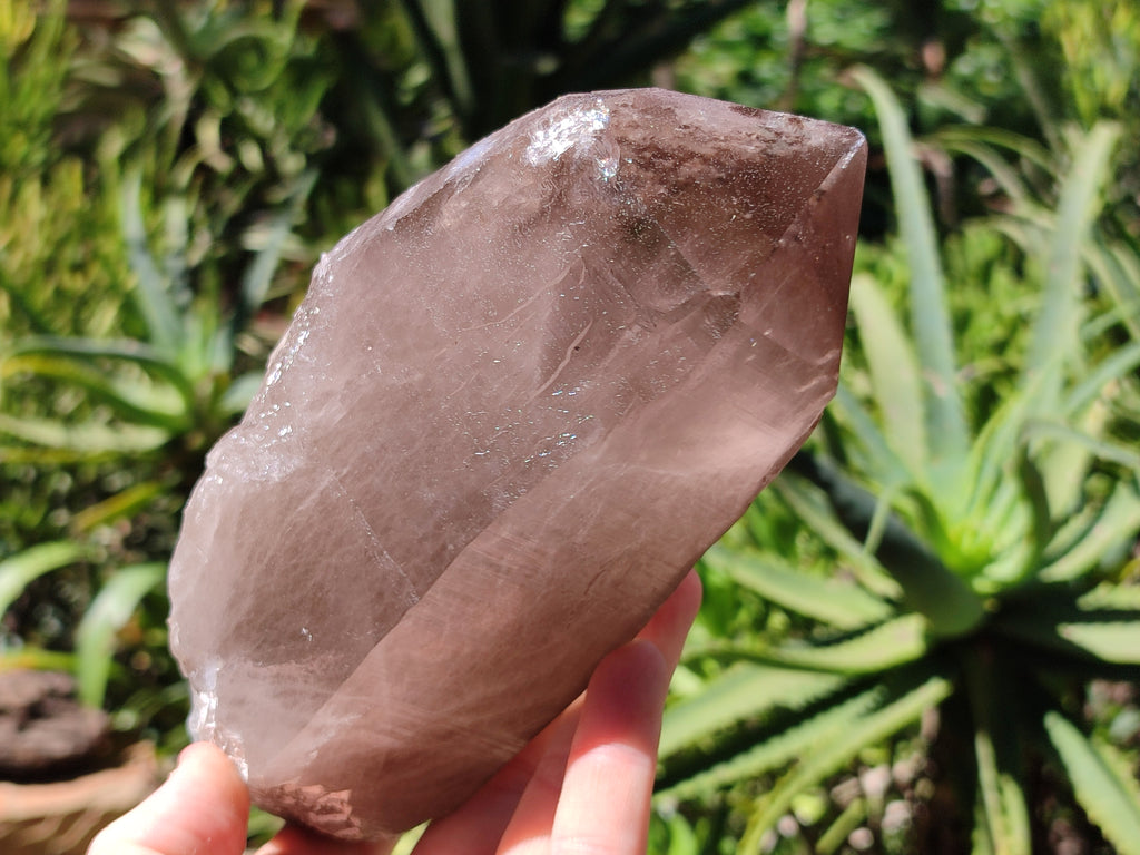 Natural Smokey Quartz Crystal Specimens x 2 From Malawi - Toprock Gemstones and Minerals 