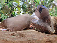 Natural Smokey Quartz Crystal Specimens x 2 From Malawi - Toprock Gemstones and Minerals 