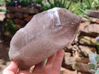 Natural Smokey Quartz Crystal Specimens x 2 From Malawi - Toprock Gemstones and Minerals 
