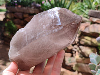Natural Smokey Quartz Crystal Specimens x 2 From Malawi - Toprock Gemstones and Minerals 