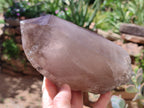 Natural Smokey Quartz Crystal Specimens x 2 From Malawi - Toprock Gemstones and Minerals 