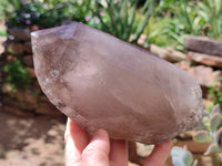 Natural Smokey Quartz Crystal Specimens x 2 From Malawi - Toprock Gemstones and Minerals 