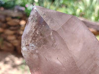 Natural Smokey Quartz Crystal Specimens x 2 From Malawi - Toprock Gemstones and Minerals 