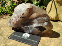 Natural Smokey Quartz Crystal Specimens x 2 From Malawi - Toprock Gemstones and Minerals 