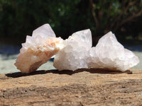 Natural Cactus Spirit Quartz Clusters x 12 From Boekenhouthoek, South Africa