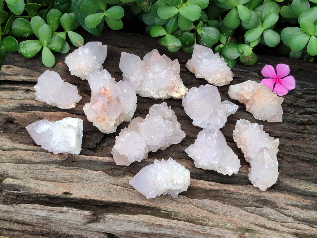 Natural Cactus Spirit Quartz Clusters x 12 From Boekenhouthoek, South Africa - Toprock Gemstones and Minerals 