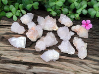 Natural Cactus Spirit Quartz Clusters x 12 From Boekenhouthoek, South Africa