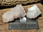 Natural Cactus Spirit Quartz Clusters x 12 From Boekenhouthoek, South Africa - Toprock Gemstones and Minerals 