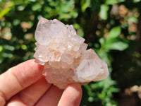 Natural Cactus Spirit Quartz Clusters x 12 From Boekenhouthoek, South Africa