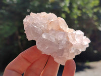 Natural Cactus Spirit Quartz Clusters x 12 From Boekenhouthoek, South Africa