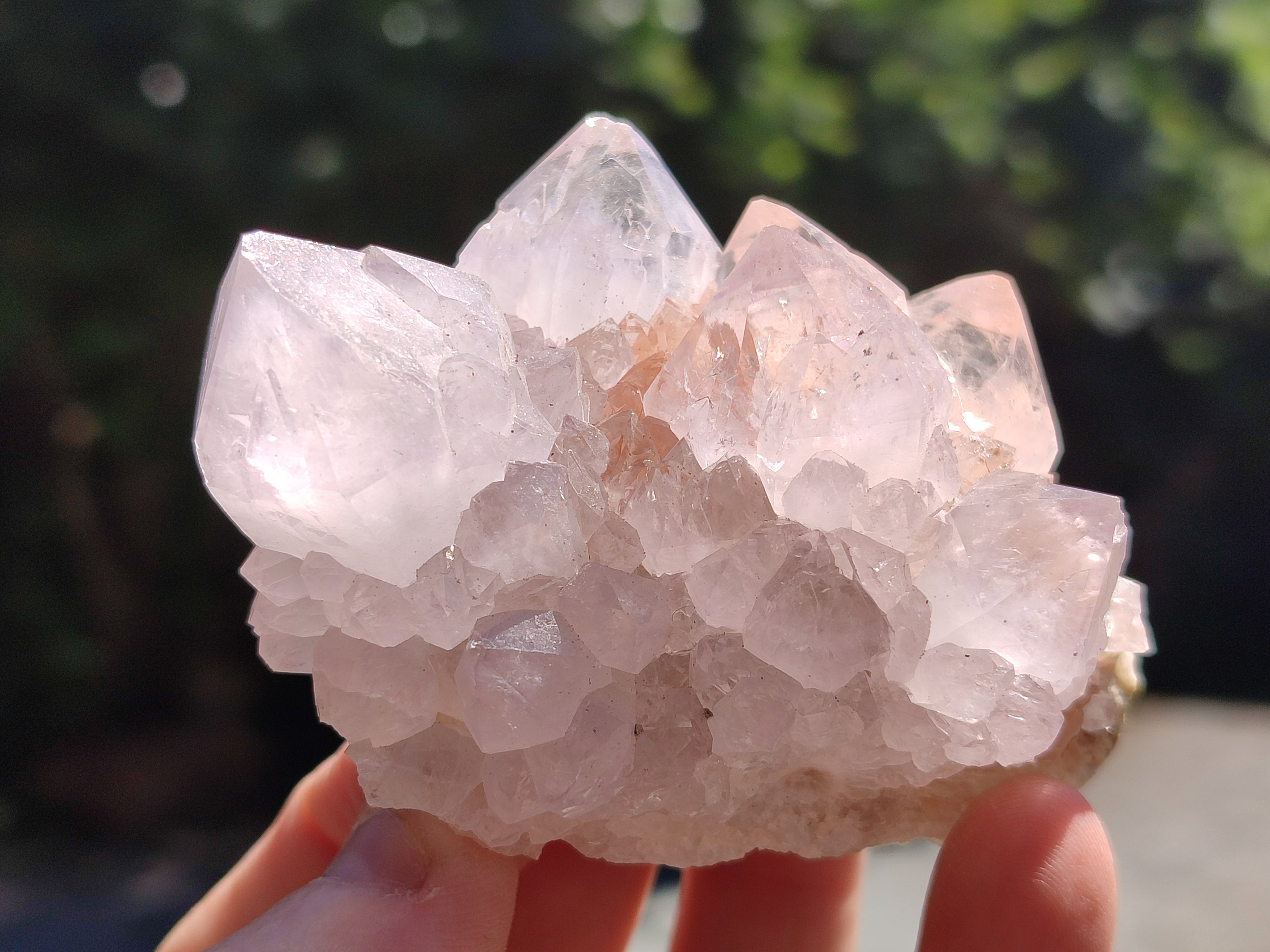 Natural Cactus Spirit Quartz Clusters x 12 From Boekenhouthoek, South Africa - Toprock Gemstones and Minerals 