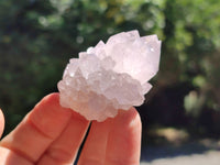 Natural Cactus Spirit Quartz Clusters x 12 From Boekenhouthoek, South Africa