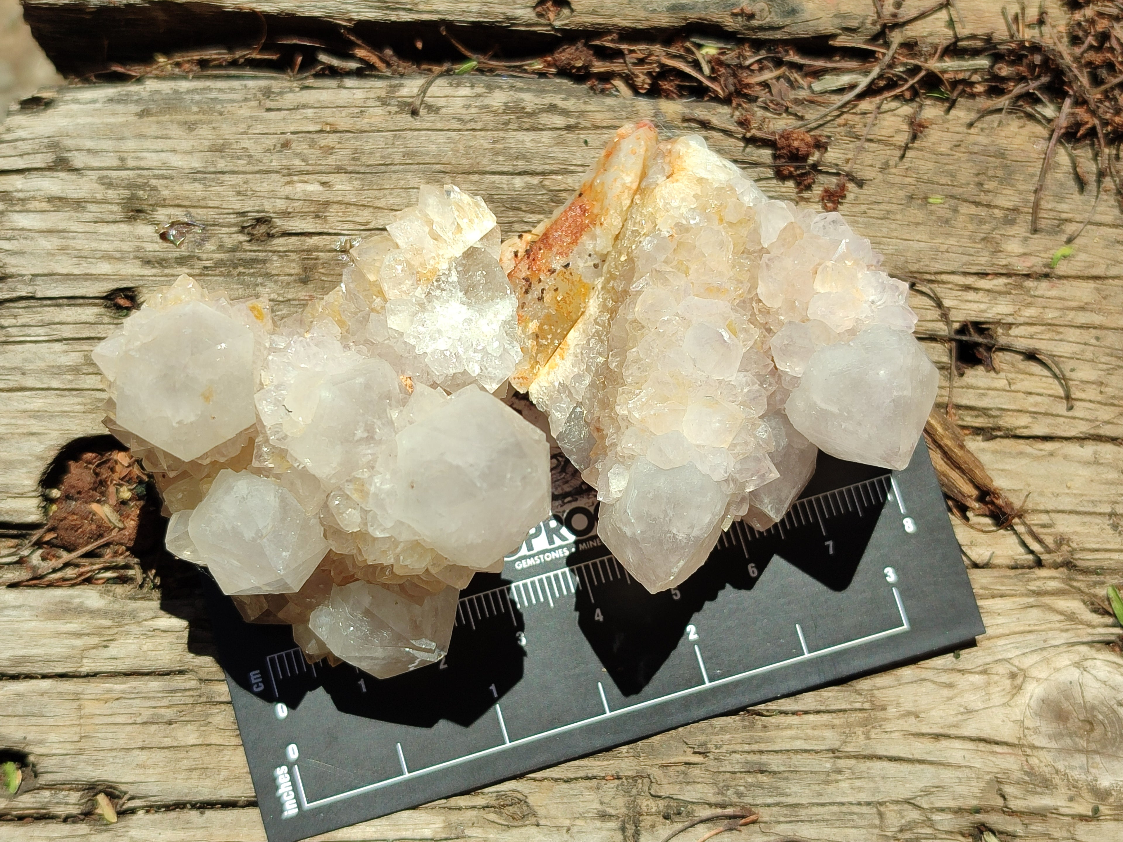 Natural Cactus Spirit Quartz Clusters x 6 From Boekenhouthoek, South Africa - Toprock Gemstones and Minerals 