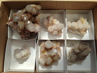 Natural Cactus Spirit Quartz Clusters x 6 From Boekenhouthoek, South Africa - Toprock Gemstones and Minerals 