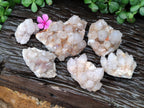 Natural Cactus Spirit Quartz Clusters x 6 From Boekenhouthoek, South Africa - Toprock Gemstones and Minerals 