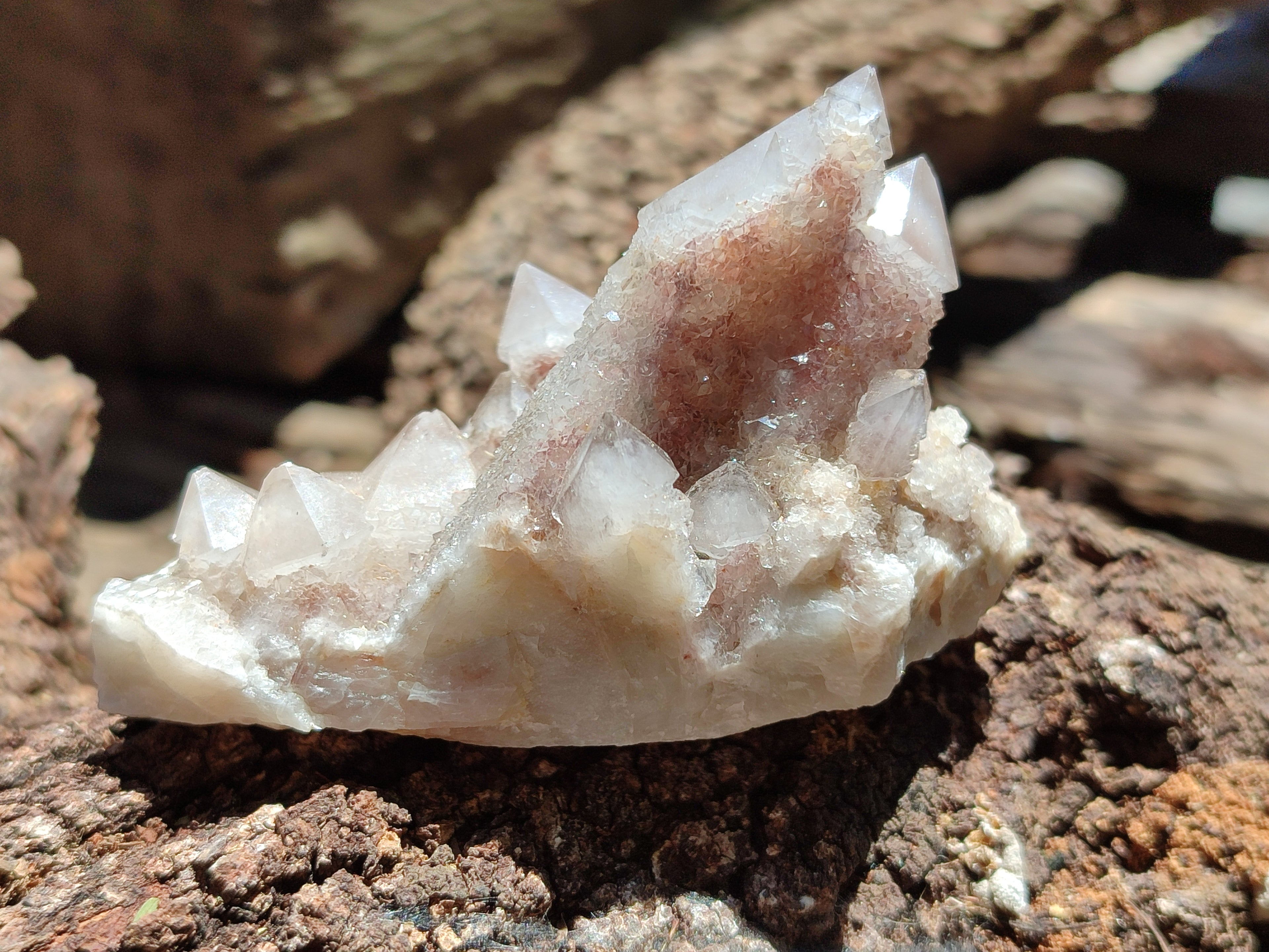 Natural Cactus Spirit Quartz Clusters x 6 From Boekenhouthoek, South Africa - Toprock Gemstones and Minerals 