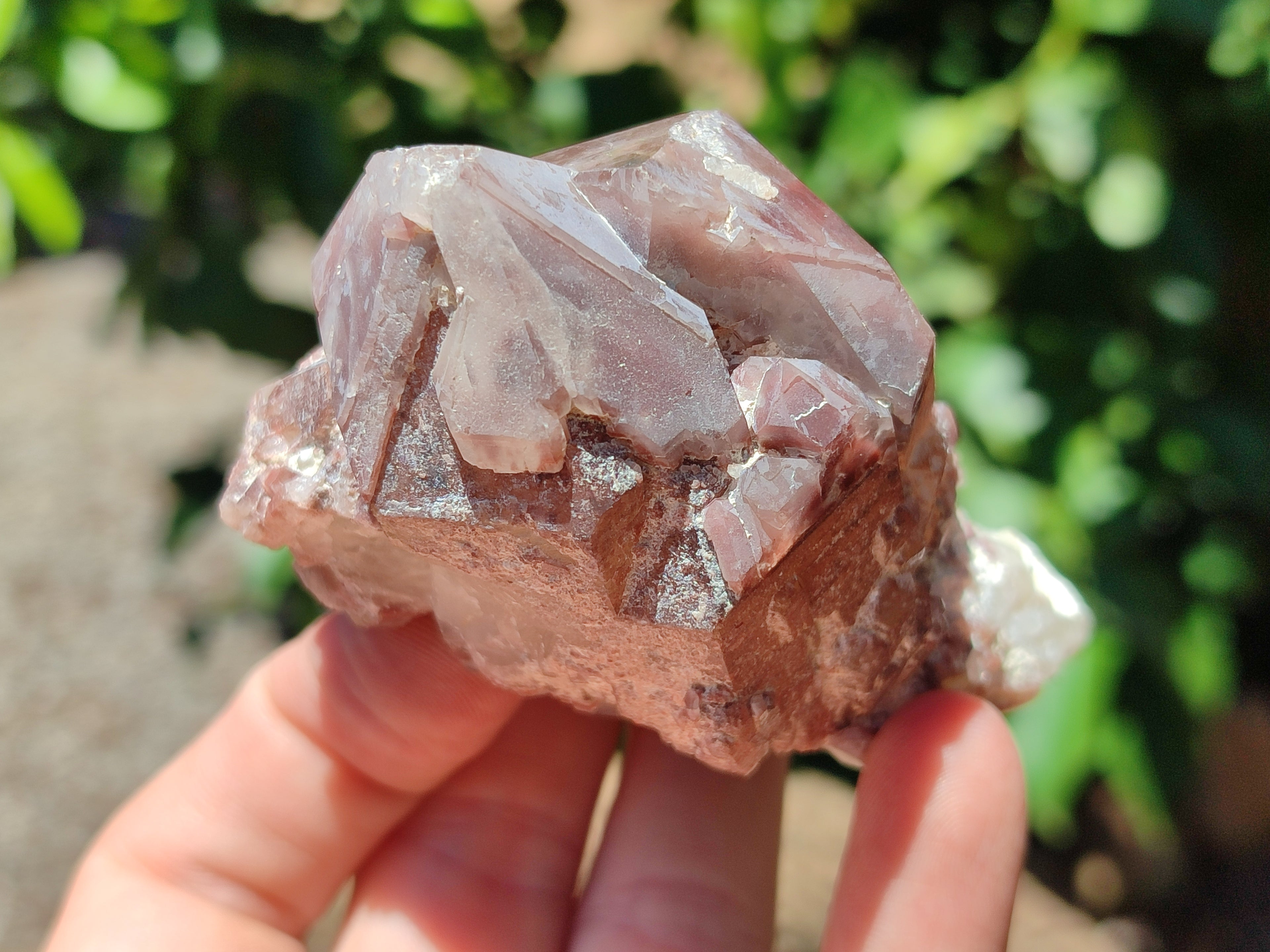 Natural Red Hematoid Quartz Clusters x 6 From Karoi, Zimbabwe - Toprock Gemstones and Minerals 