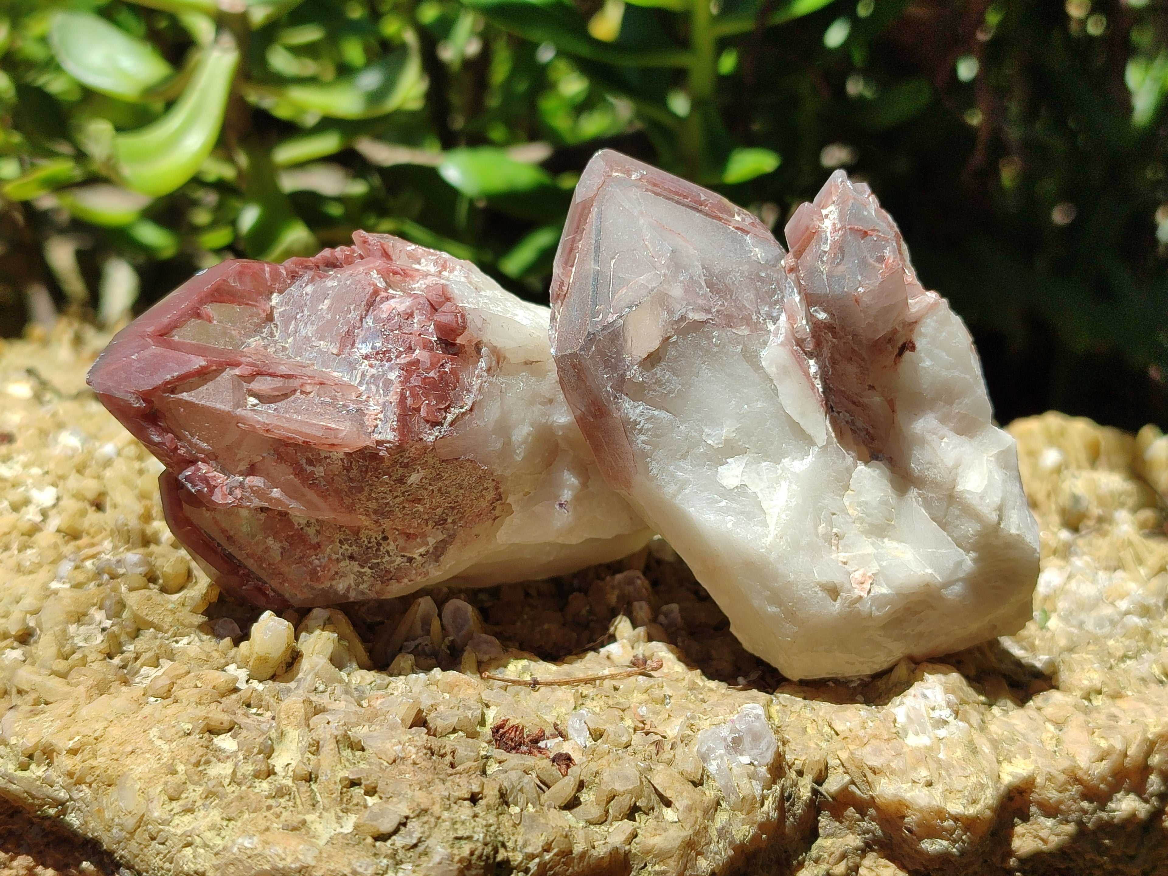 Natural Red Hematoid Quartz Clusters x 6 From Karoi, Zimbabwe - Toprock Gemstones and Minerals 