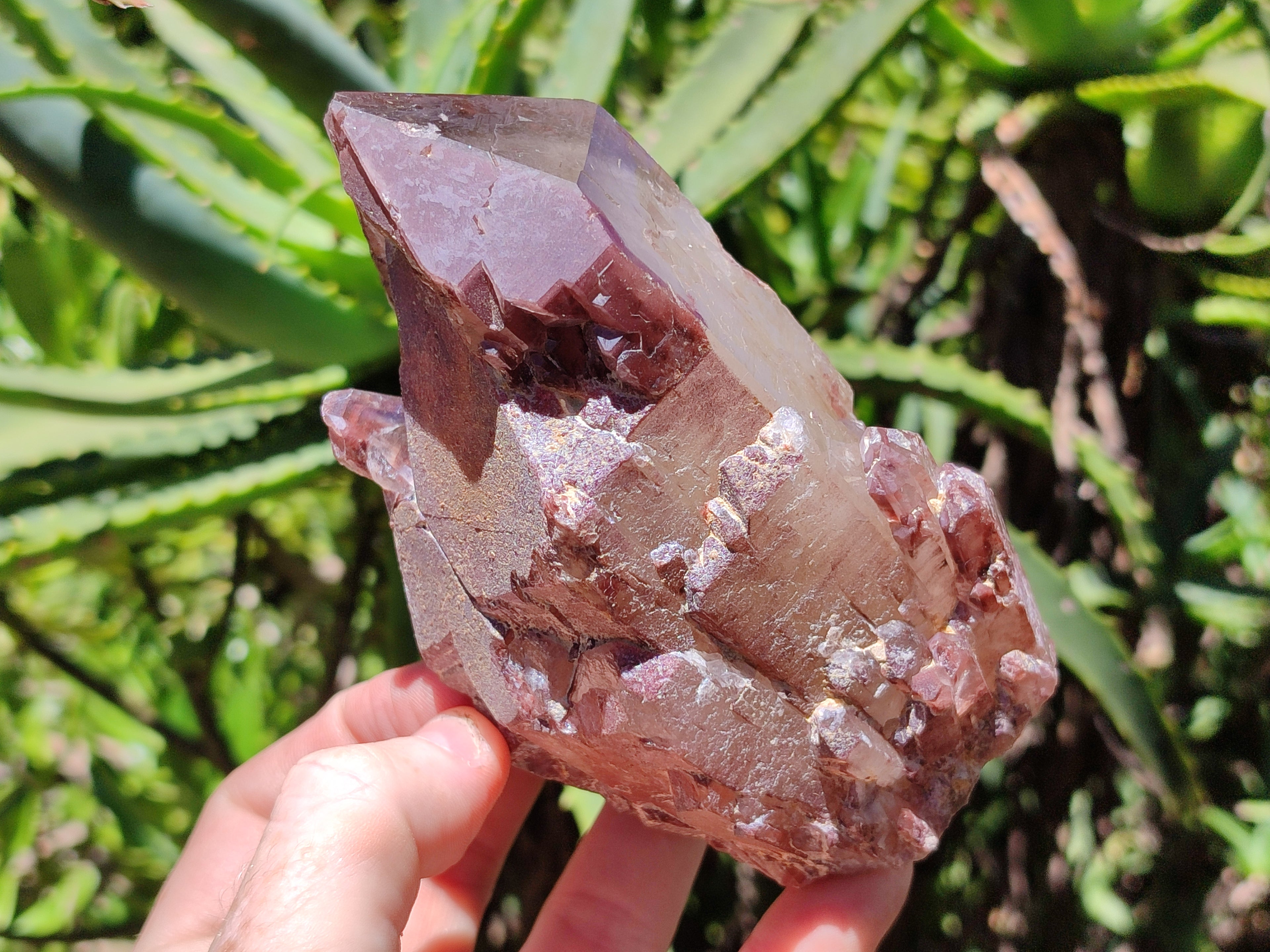 Natural Red Hematoid Quartz Clusters x 6 From Karoi, Zimbabwe - Toprock Gemstones and Minerals 