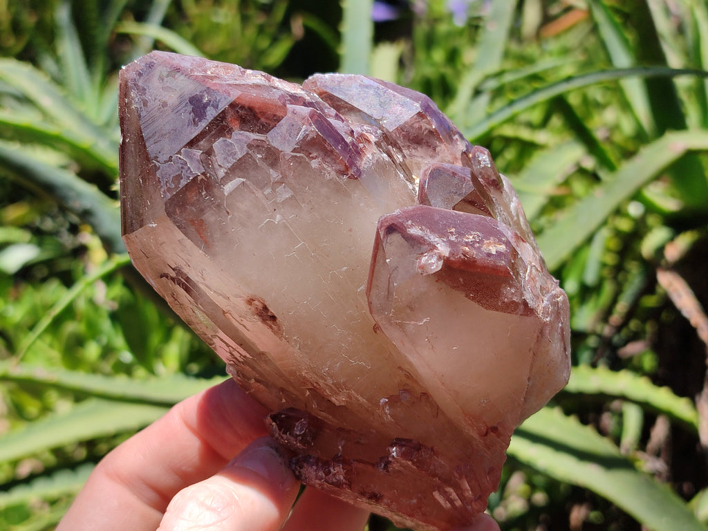 Natural Red Hematoid Quartz Clusters x 6 From Karoi, Zimbabwe - Toprock Gemstones and Minerals 
