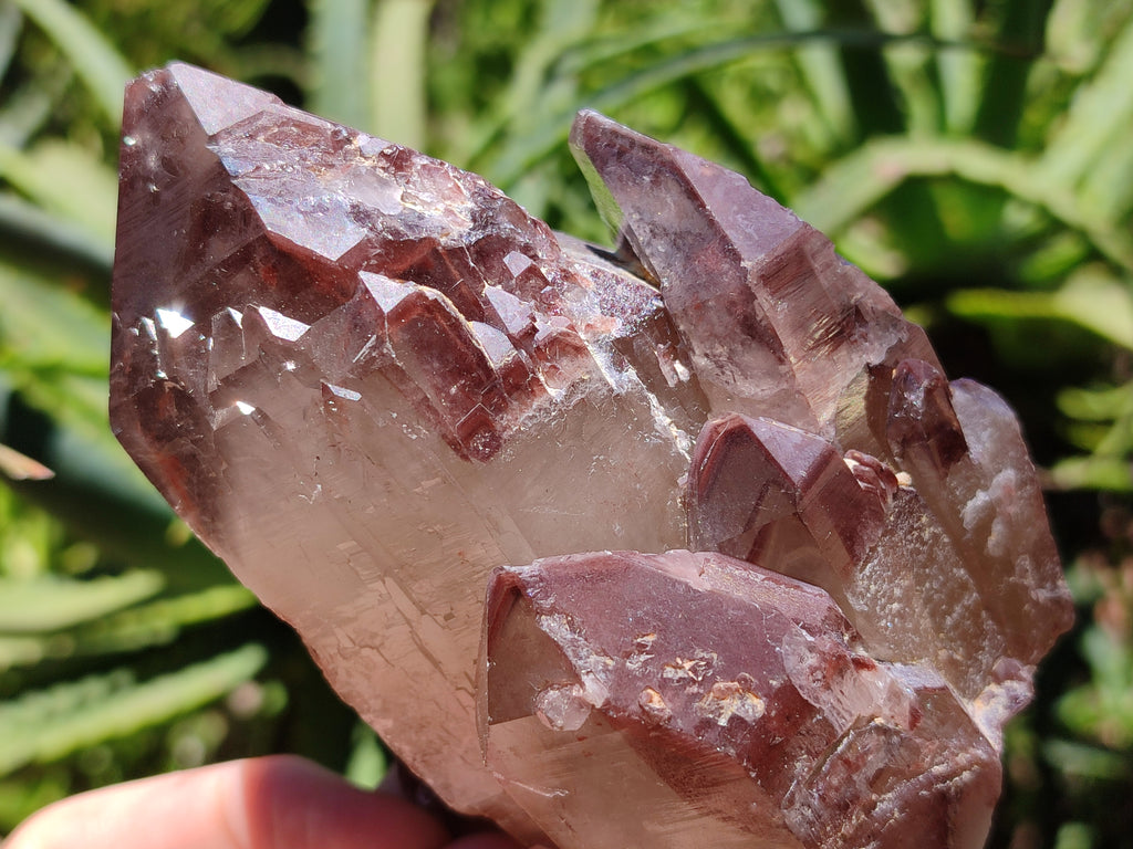 Natural Red Hematoid Quartz Clusters x 6 From Karoi, Zimbabwe - Toprock Gemstones and Minerals 