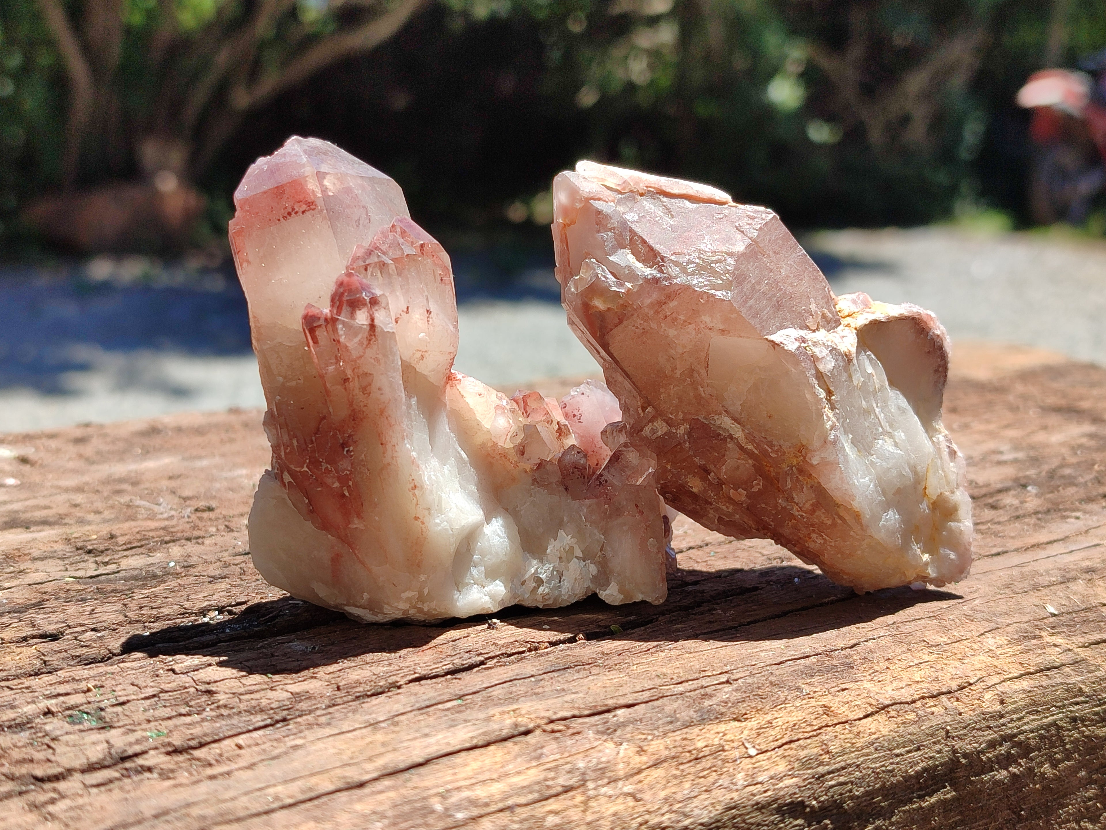 Natural Red Hematoid Quartz Clusters x 6 From Karoi, Zimbabwe - Toprock Gemstones and Minerals 