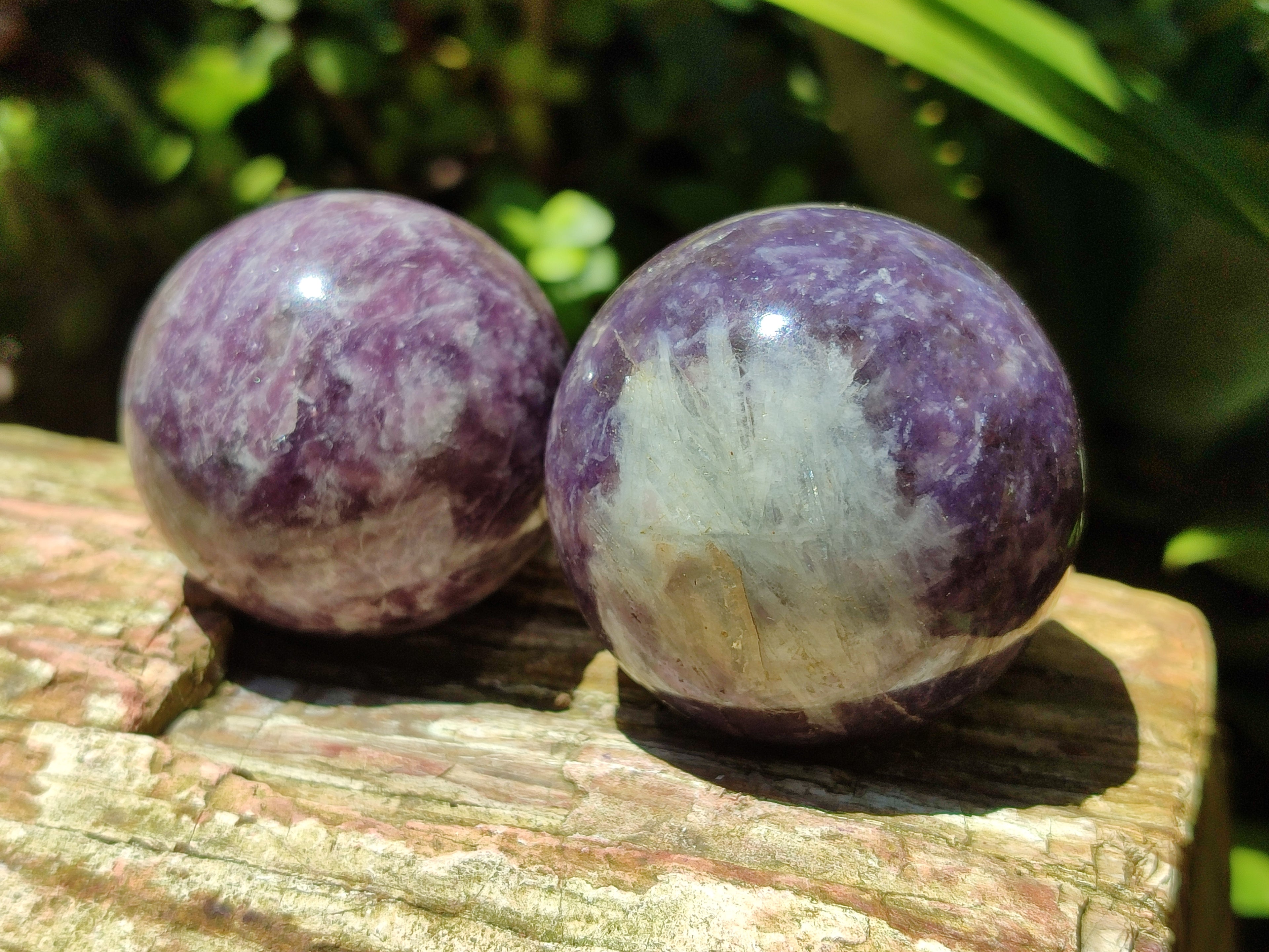 Polished Lepidolite with Pink Rubellite Sphere x 6 From Madagascar - Toprock Gemstones and Minerals 