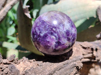 Polished Lepidolite with Pink Rubellite Sphere x 6 From Madagascar - Toprock Gemstones and Minerals 