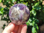 Polished Lepidolite with Pink Rubellite Sphere x 6 From Madagascar - Toprock Gemstones and Minerals 
