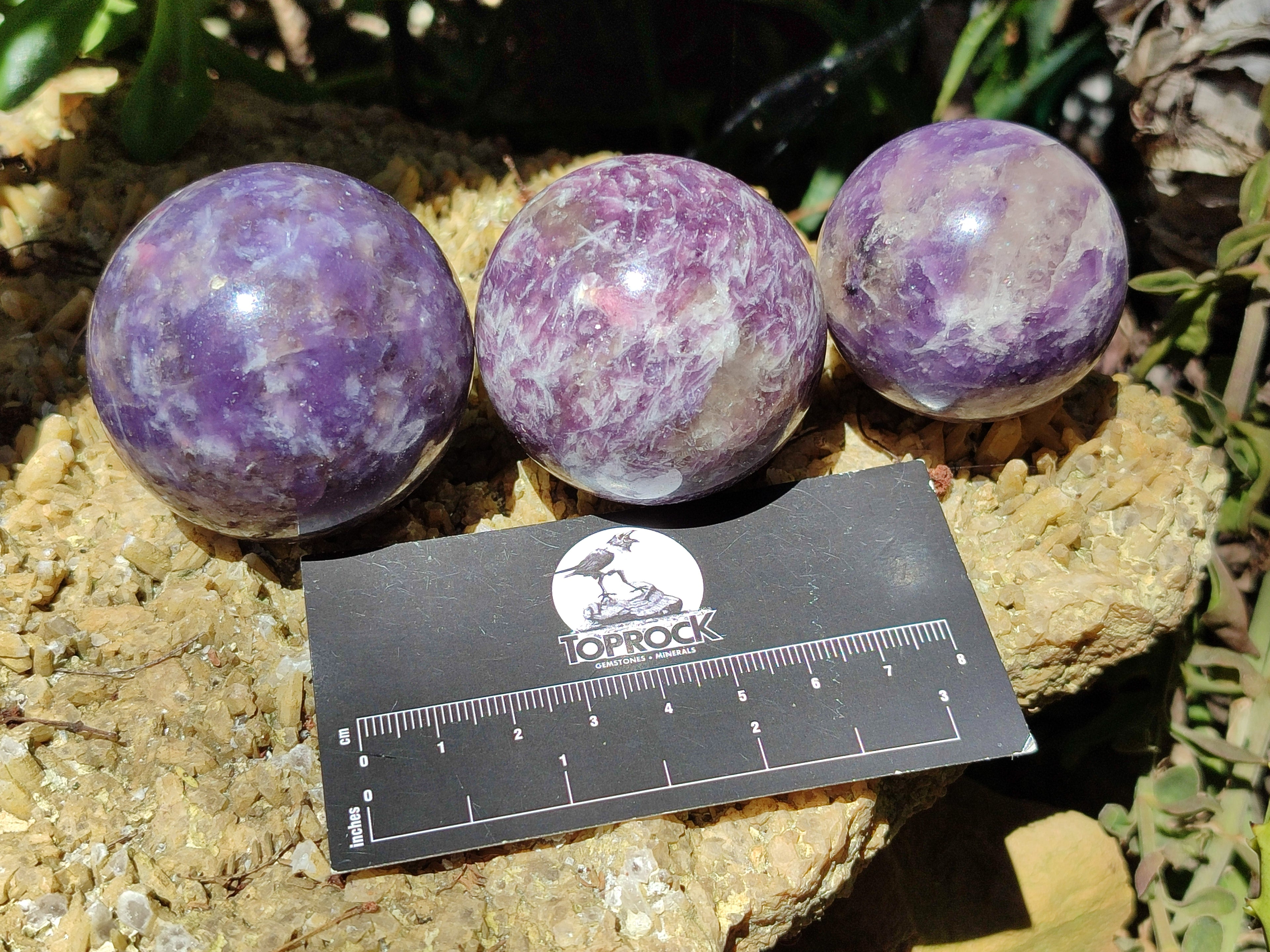 Polished Lepidolite with Pink Rubellite Sphere x 6 From Madagascar - Toprock Gemstones and Minerals 